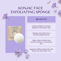 4-Piece Natural Brightening & Detox Bath Gift Set | Kojic Turmeric Soap, Exfoliating Sugar Scrub, Vanilla Coco Oil, & Konjac Exfoliating Sponge | Complete Spa & Skincare Kit for Women