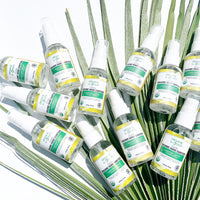 Clean Hand Sanitizer - Wholesale Case of 12