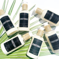 Conditioner - Wholesale Rain Collection - Case of 12