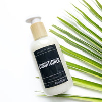 Conditioner - Wholesale Rain Collection - Case of 12