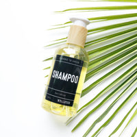 Shampoo - Wholesale Rain Collection - Box of 12