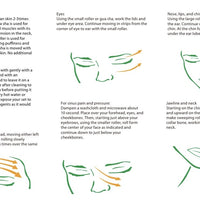 Crystal Roller + Gua Sha Set - Skin Detox - Rose Quartz