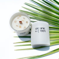 White Moonstone - Vanilla & Coconut CANDLE
