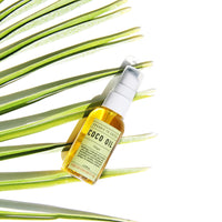 Liquid Coconut Oil Ginger - Healing Coco Oil