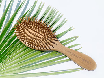Wooden Hair Brush with Wooden Bristles